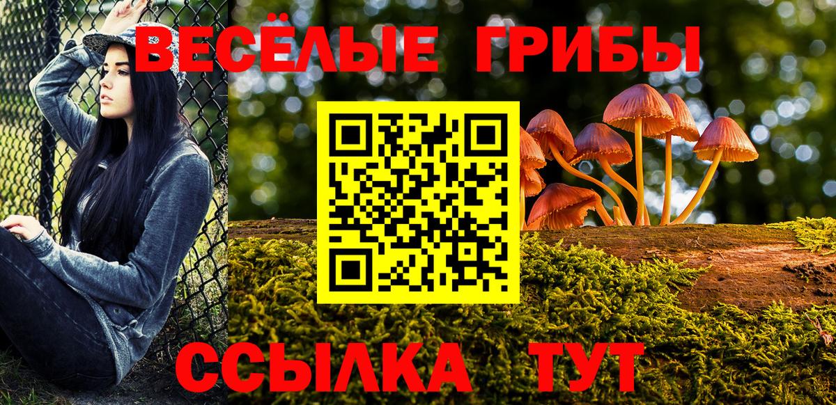 Псилоцибиновые грибы GOLDEN TEACHER  Галлюциногенные грибы мухоморы  Вход с VPN  Чистополь 